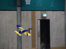 hallenfliegen26012025 11